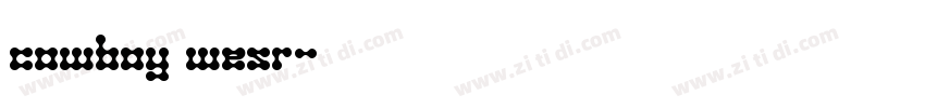 cowboy wesr字体转换